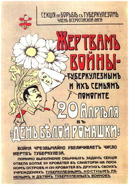 Плакат «20 апреля – День белой ромашки»